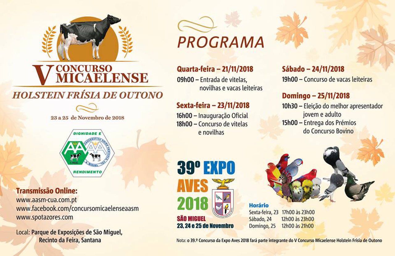 El certamen frisón de otoño en Las Azores, este fin de semana