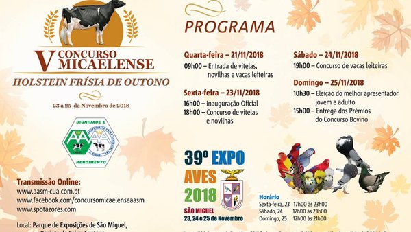 El certamen frisón de otoño en Las Azores, este fin de semana