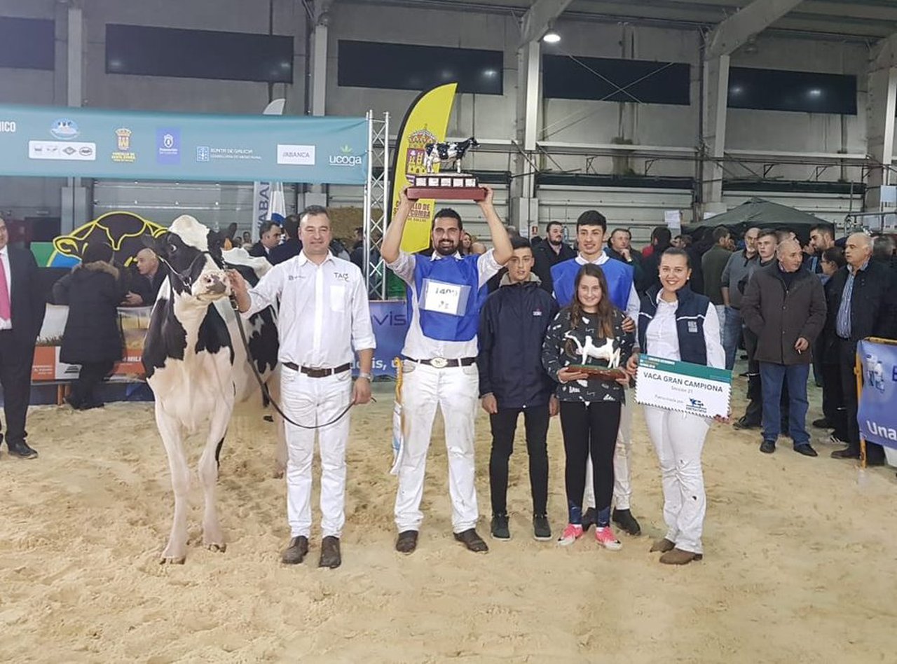 Rey 642 Yudi Doorman, vaca gran campeona de Galicia 2018