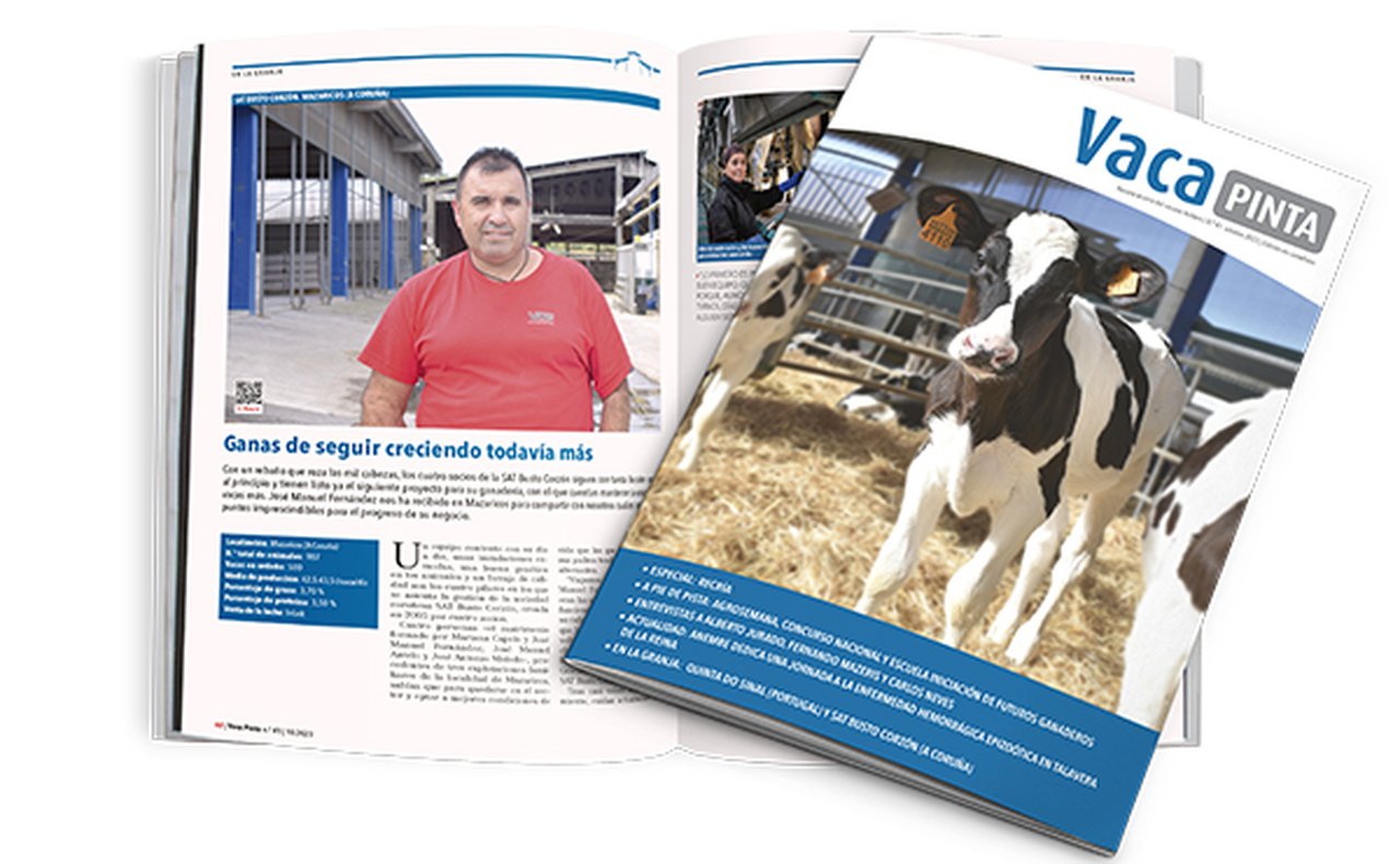 Vaca Pinta 41, xa dispoñible en todas as plataformas