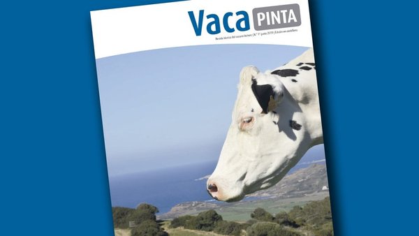 ¡Vaca Pinta 11, ya en castellano!