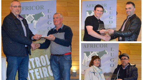 Entregados los premios de Africor Lugo a las mejores ganaderías de la provincia