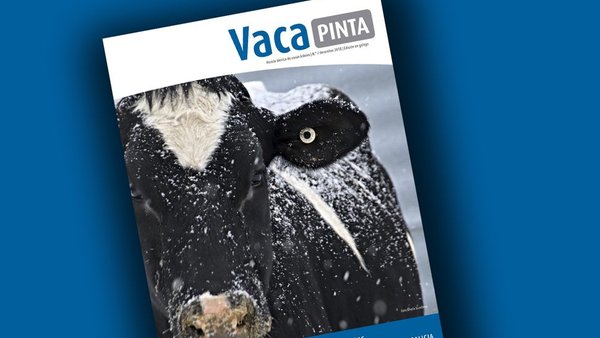 ¡Vaca Pinta 7, ya disponible on-line!
