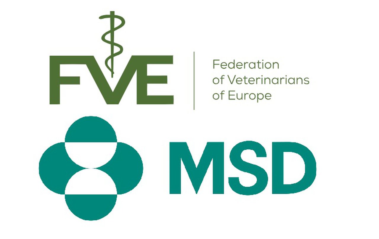Tres españoles entre los premiados con las becas de FVE y MSD Animal Health