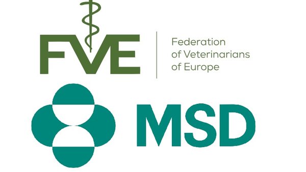 Tres españoles entre los premiados con las becas de FVE y MSD Animal Health
