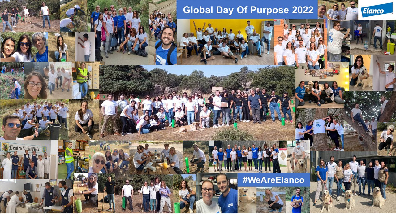 Los empleados de Elanco participan en iniciativas solidarias por el Día del Voluntariado