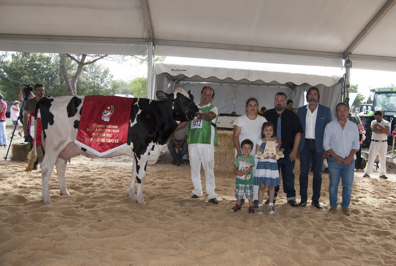 Expander 6818, de Gurgo e Filhos, gana el certamen frisón de Murtosa
