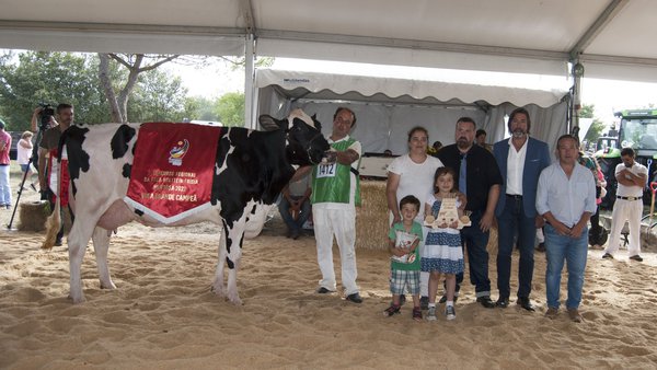 Expander 6818, de Gurgo e Filhos, gana el certamen frisón de Murtosa