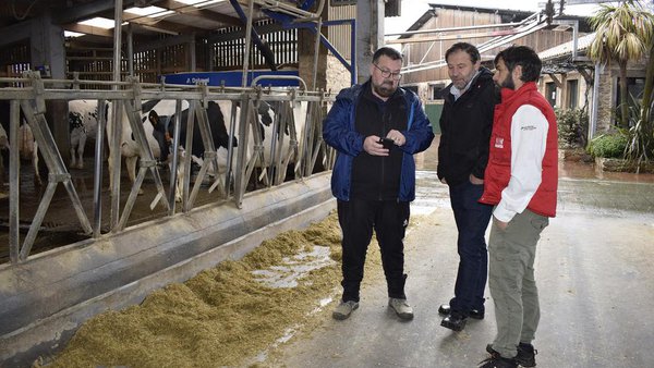 Solución integral de Nanta para vacún leiteiro en Finca La Asunción