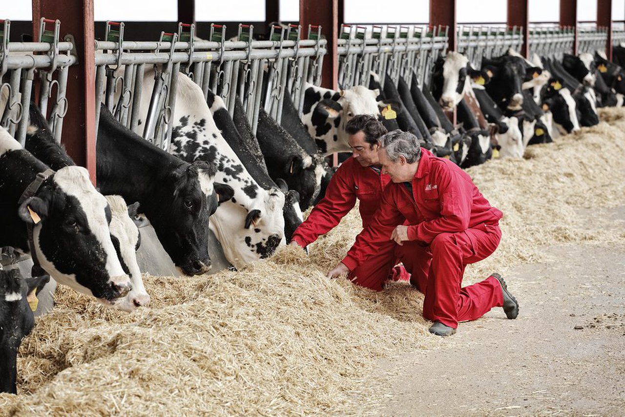 Nanta Dairy Robot optimiza o rendemento do robot de muxido