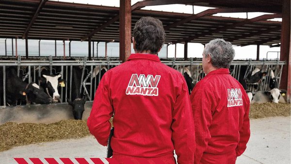 Nanta Dairy Robot: optimización do muxido con robot a través da alimentación