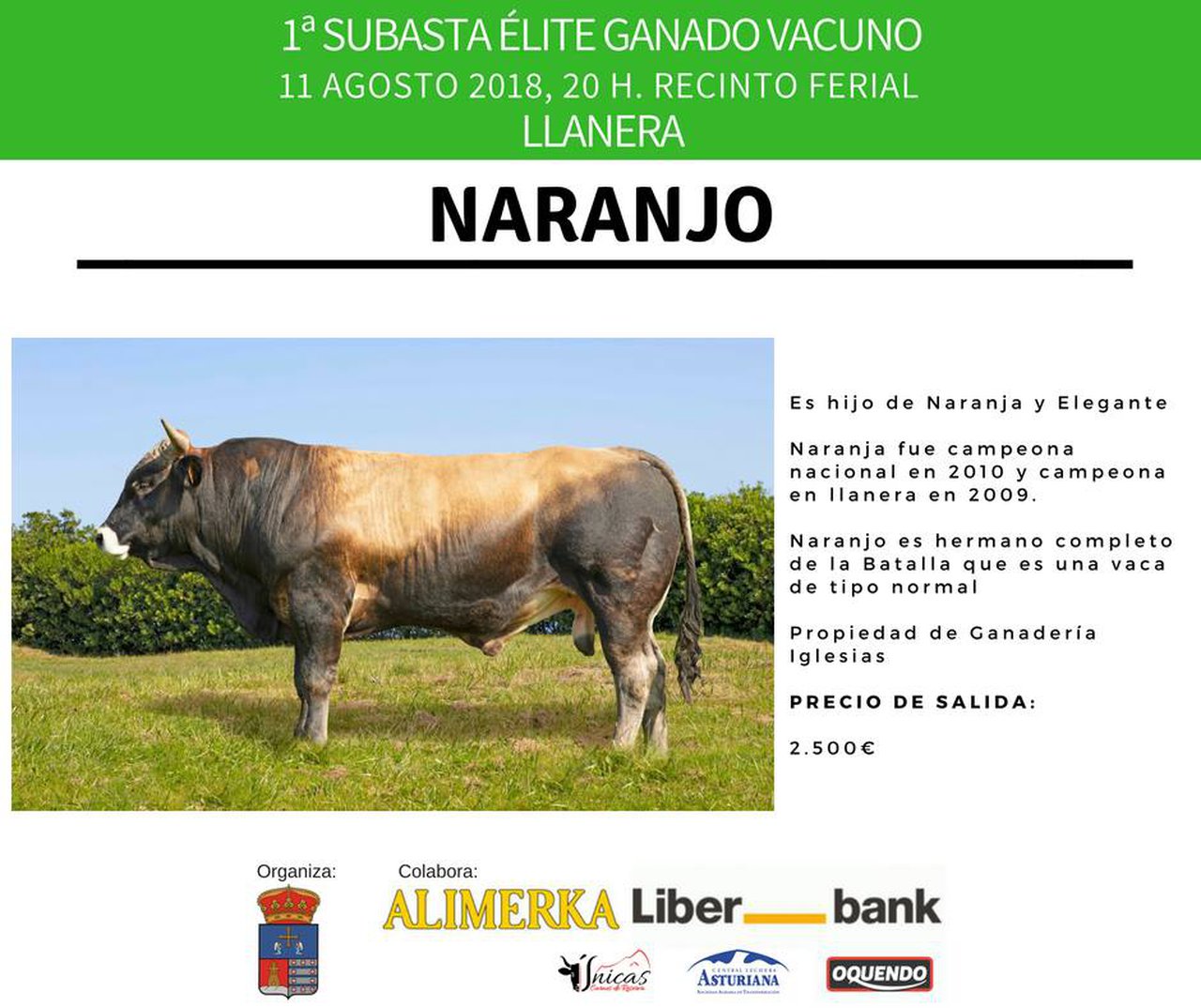Otro de los toros que se subastará es Iglesias Elegante Naranjo