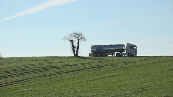 Los ayuntamientos más ganaderos y las organizaciones agrarias de Galicia instan a la ministra de Transportes a que intervenga ante el paro