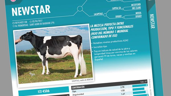 Newstar (Evolution Iberica XY), seleccionado en seme sexado pola Mesa de Selección de Covap