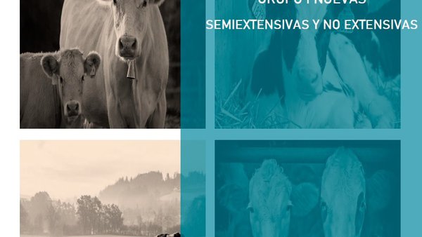 El Ministerio de Agricultura, Pesca y Alimentación publica una guía informativa sobre la nueva normativa de las granjas de ganado bovino