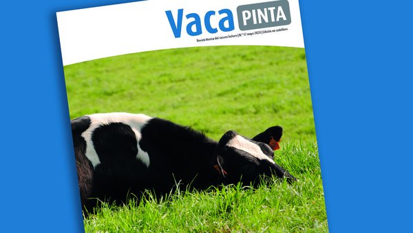 Nuevo número de Vaca Pinta, ya on-line en castellano