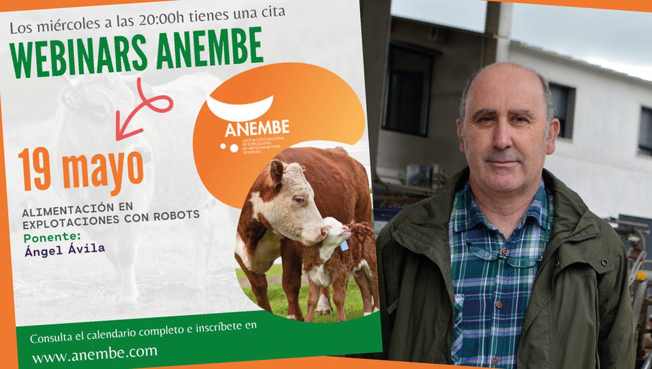 Ángel Ávila, próximo ponente de los webinarios de Anembe
