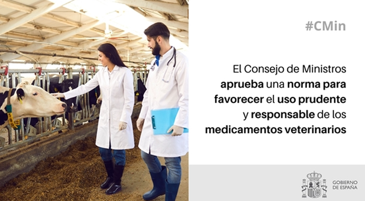 El Gobierno aprueba una norma para favorecer el uso responsable y prudente de los medicamentos veterinarios