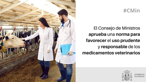 El Gobierno aprueba una norma para favorecer el uso responsable y prudente de los medicamentos veterinarios