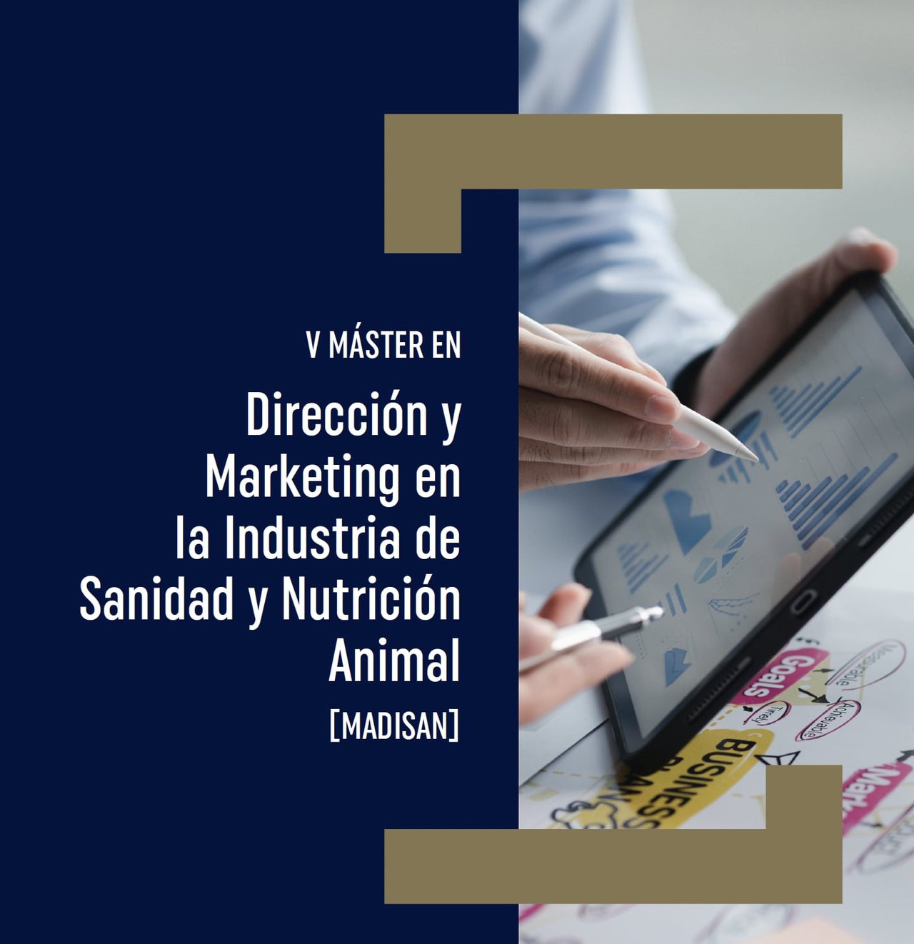 El V Máster en Dirección y Marketing en la Industria de Sanidad y Nutrición Animal se iniciará en otoño