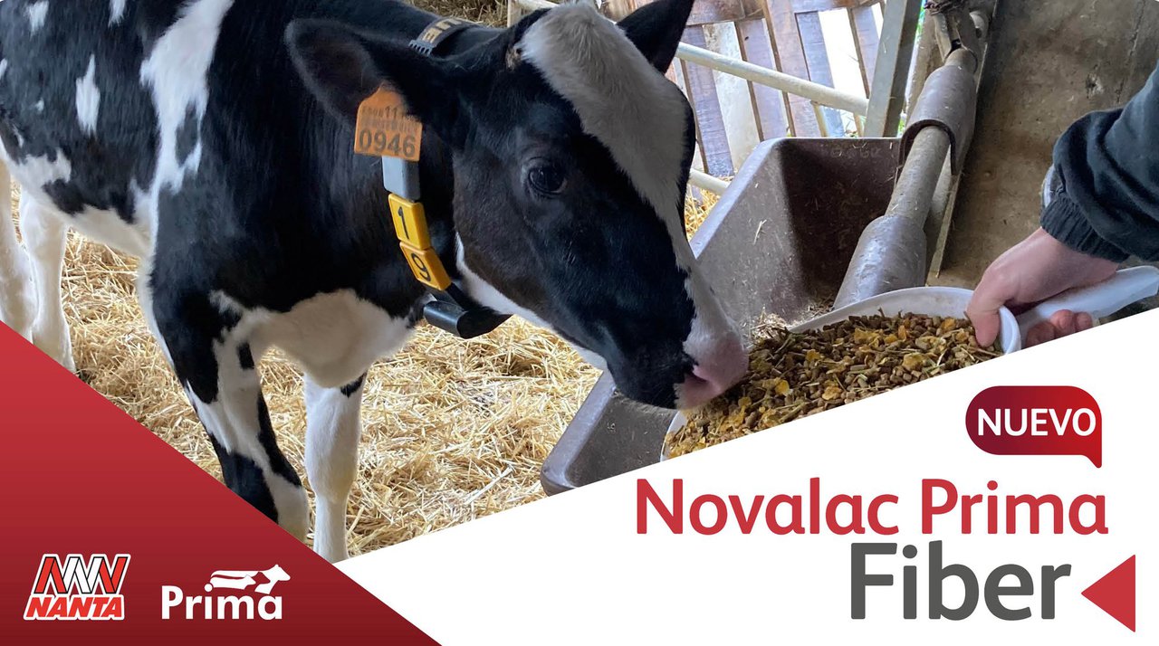 Nanta presenta Novalac Prima Fiber, su nuevo starter texturizado para terneras lactantes
