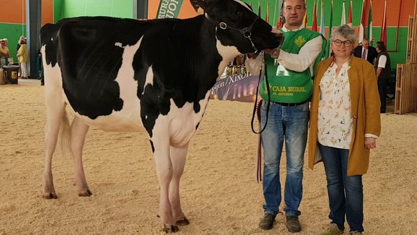 Flora Emilio Altea, novilla campeona de Asturias