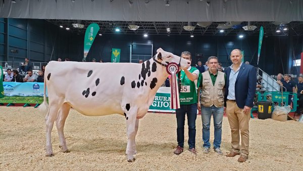 La ganadora del campeonato de novillas ha sido Badiola Denver Megamay