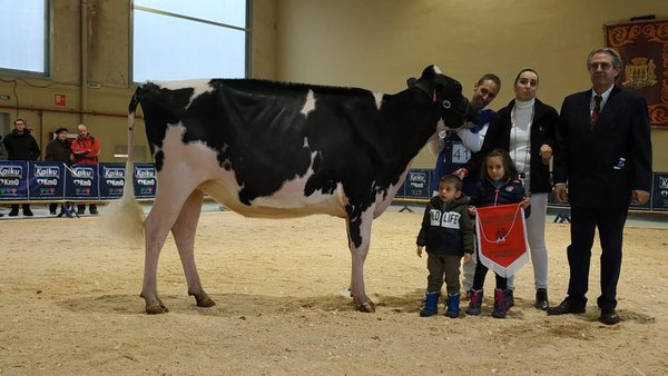 Casa Nueva Doorman Alicia, gran campeona de novillas de Euskal Herria