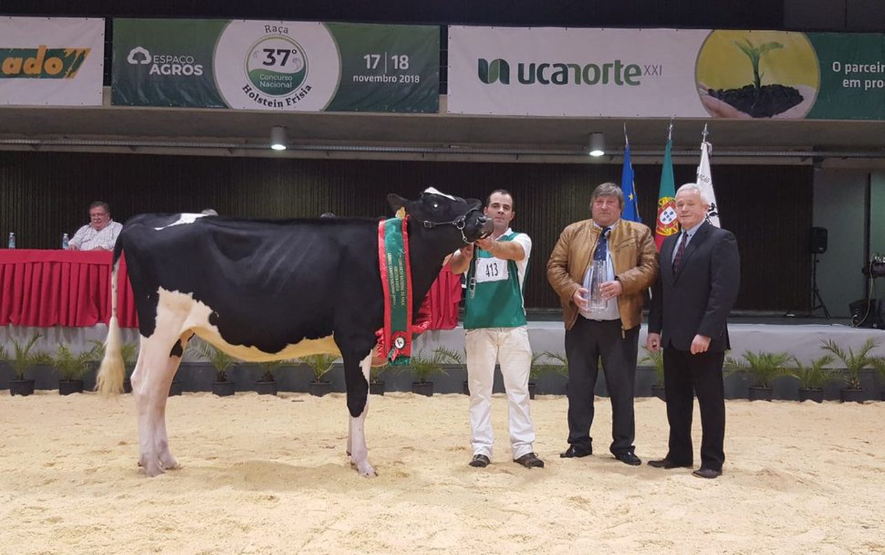Pereira Solomon Mira novilla gran campeona de Portugal