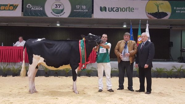 Pereira Solomon Mira novilla gran campeona de Portugal