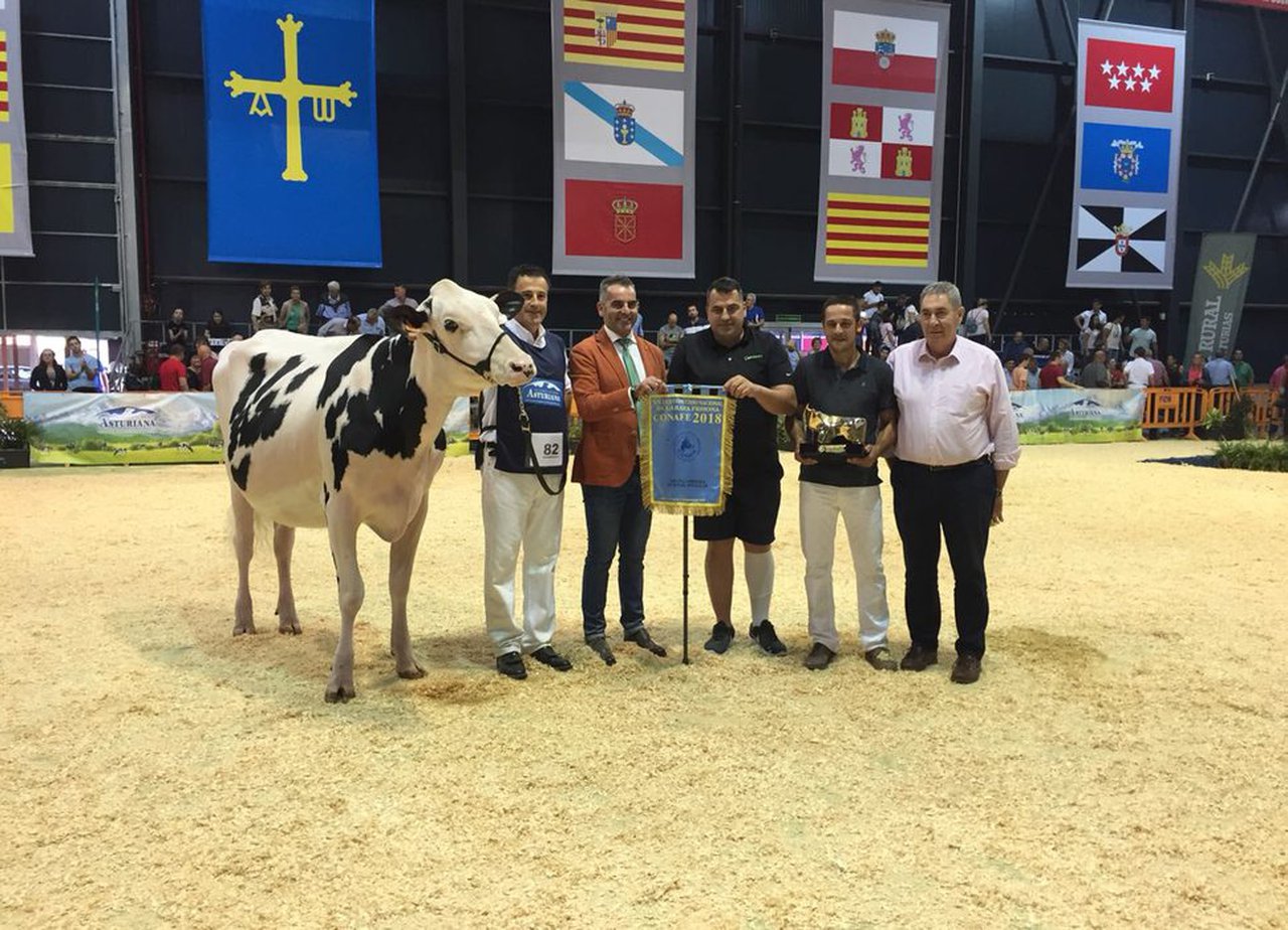 Comas Novas Princes Delta se acaba de proclamar novilla gran campeona