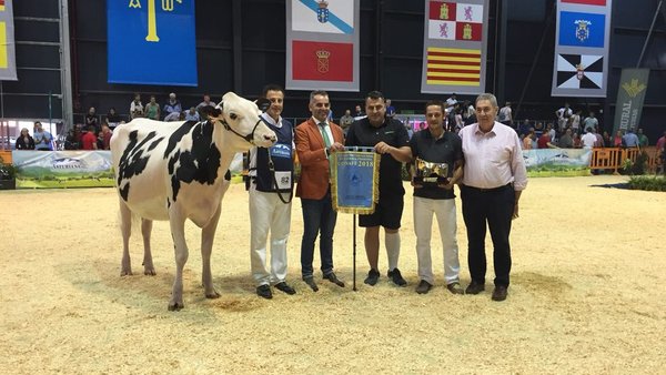 Comas Novas Princes Delta se acaba de proclamar novilla gran campeona