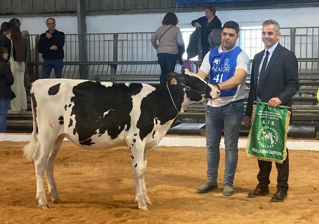 Bell Lloch Lambda Estefania novilla gran campeona de Menorca 2023