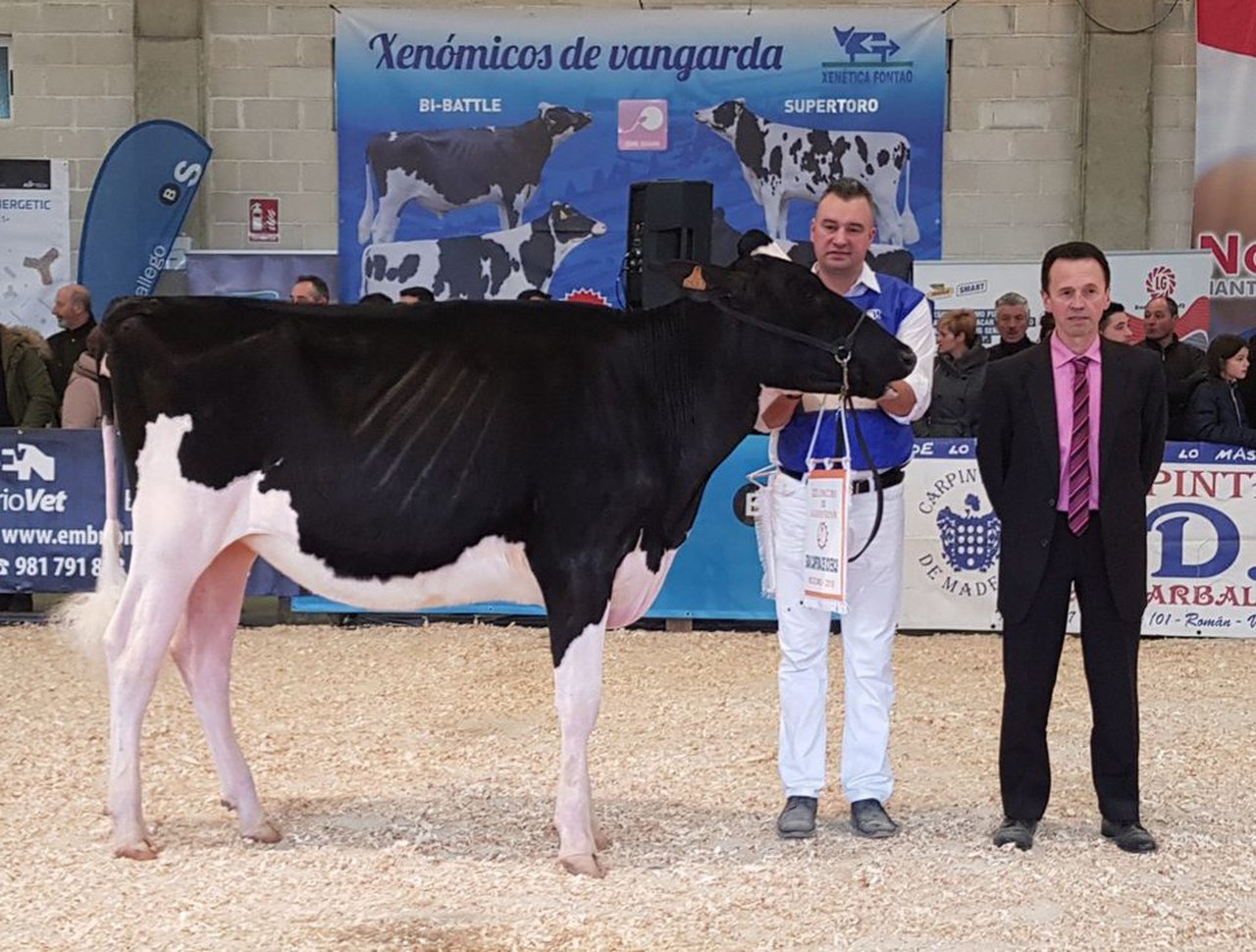 Vistahermosa Doorman Fani ET se proclama novilla gran campeona de Muimenta