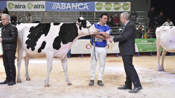 Venturo Thunder Storm Almira se lleva el premio de novilla gran campeona de GandAgro 2023