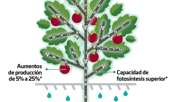 Fertiberia Tech entra con forza no mercado dos fertilizantes líquidos con Nutrifluid IMPULSE