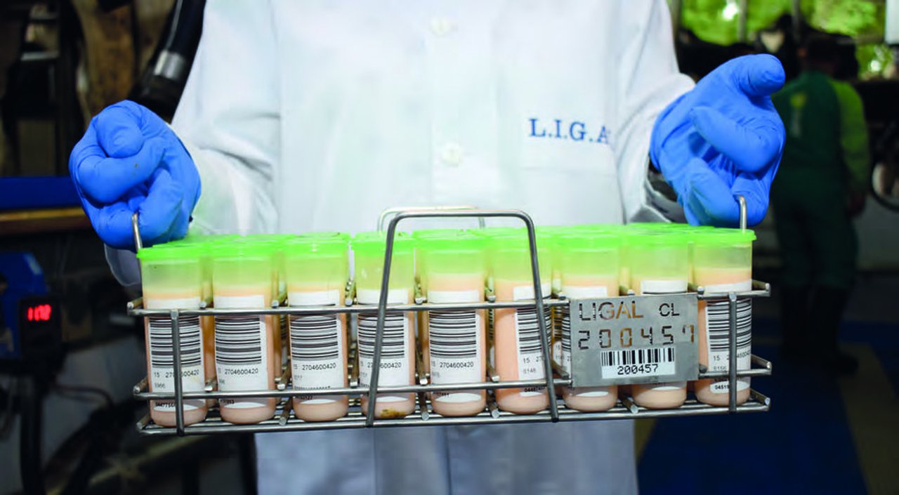 El control lechero, algo más que litros de leche y células somáticas