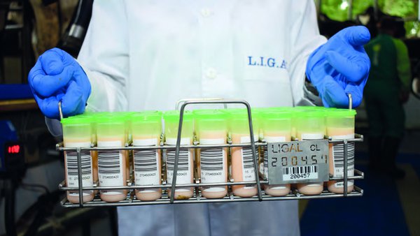 El control lechero, algo más que litros de leche y células somáticas