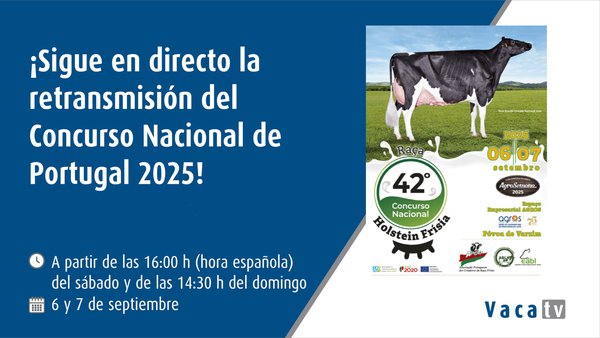 El Concurso Nacional de Portugal, en directo con Vaca TV