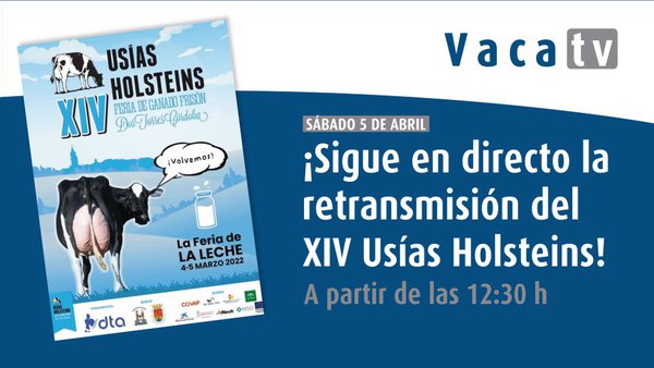 El 14º Concurso Usías Holsteins, mañana en directo en Vaca Pinta