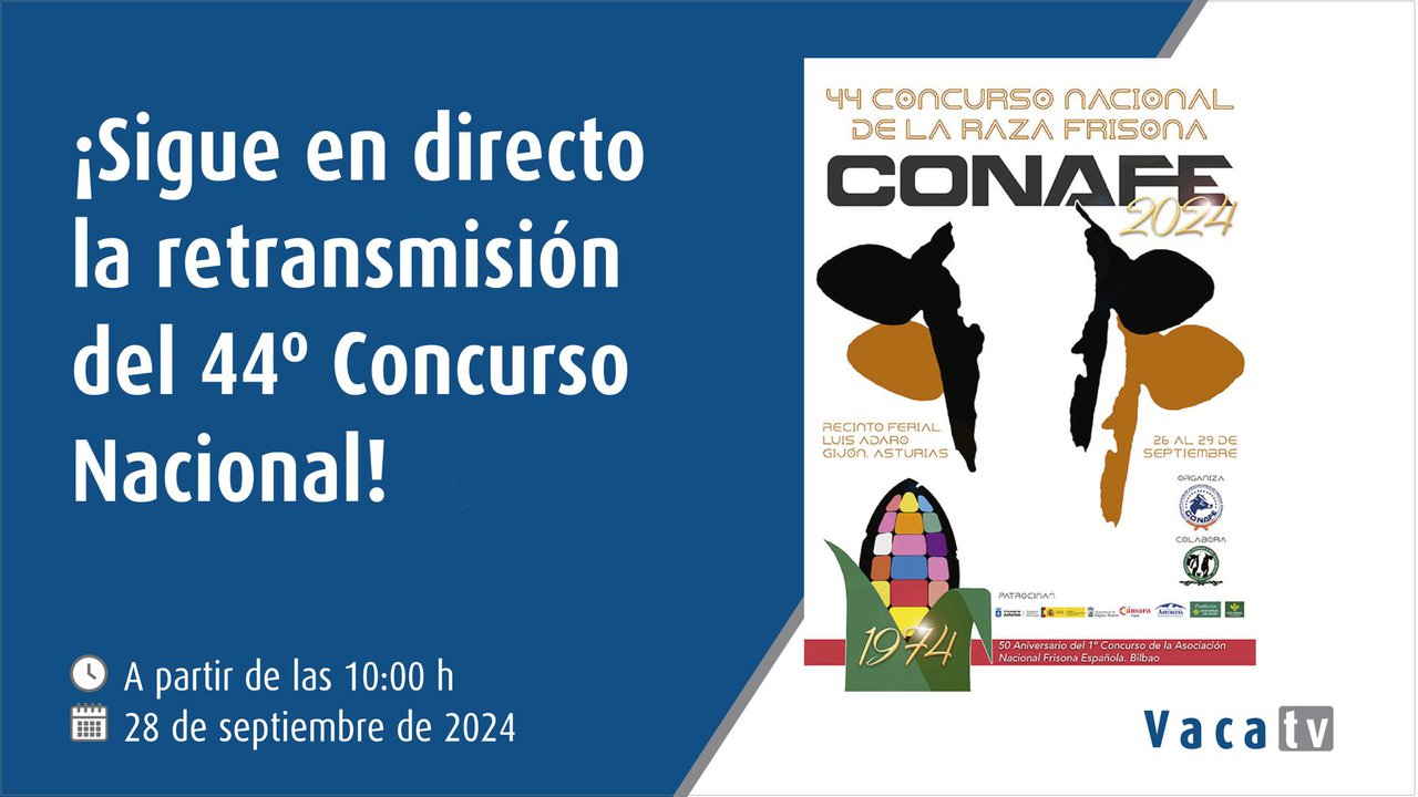 El Concurso Nacional de la Raza Frisona, en directo este sábado con Vaca Pinta