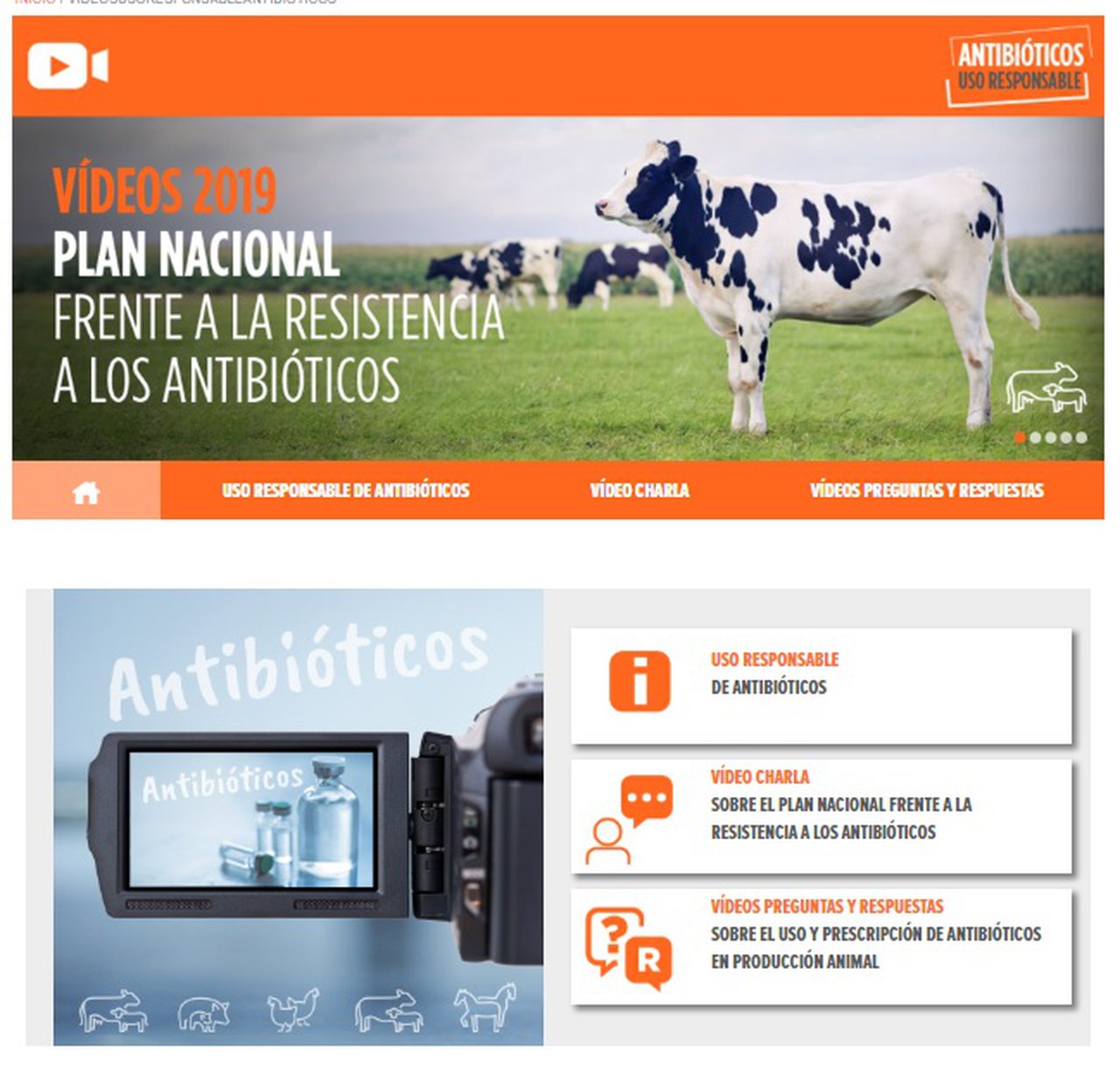 Novo espazo de Zoetis sobre o Uso Responsable de Antibióticos