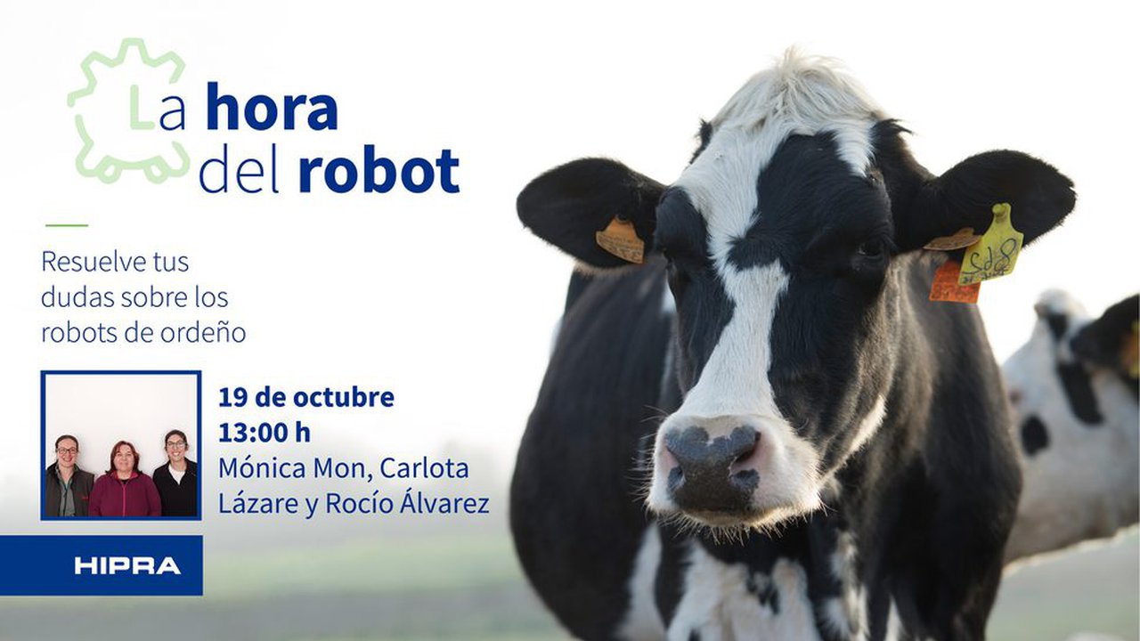 El próximo martes, tercera entrega de La Hora del Robot
