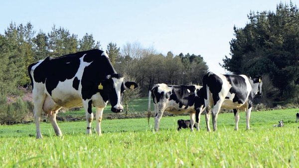 Emisiones y huella de carbono en las explotaciones lecheras de Galicia