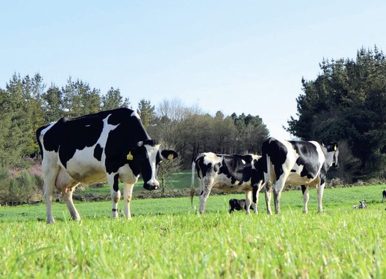 Friol acoge una jornada sobre la huella de carbono en ganaderías de producción ecológica