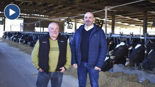 Alba ST ofrécelles a xenética máis punteira en Galicia da man de Albaitaritza