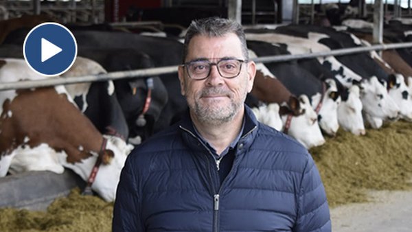 "As vacinas de mastitis permítennos traballar con tranquilidade, mellorar a produtividade e gañar máis diñeiro"