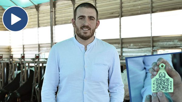 Revaloriza os xatos da túa explotación con Eliter