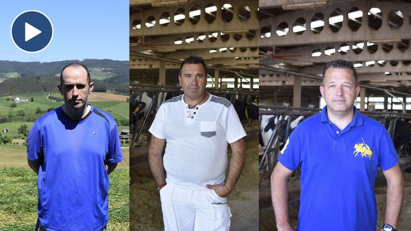 Mezclas Fertiprado, calidad con reducción de costes