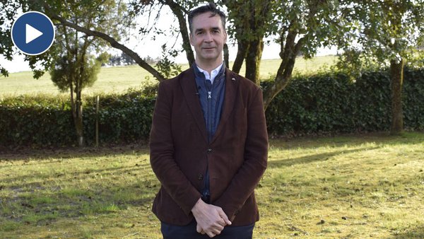 “Prestamos especial atención a la financiación de inversiones en el sector del vacuno de leche”
